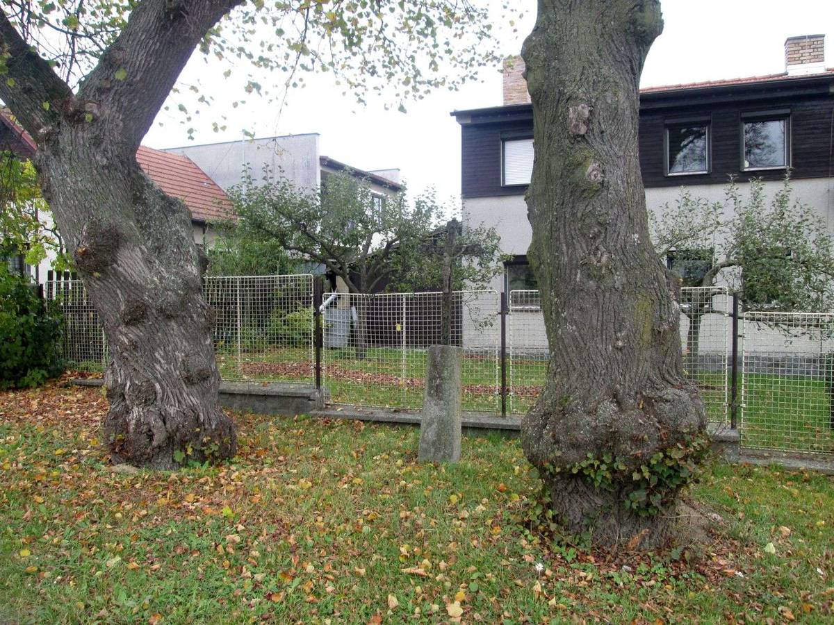 Fotografie objektu