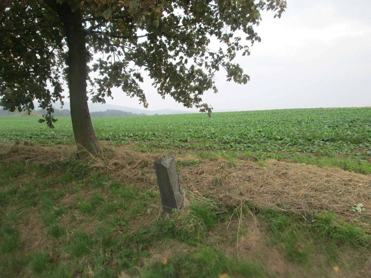 Fotografie objektu