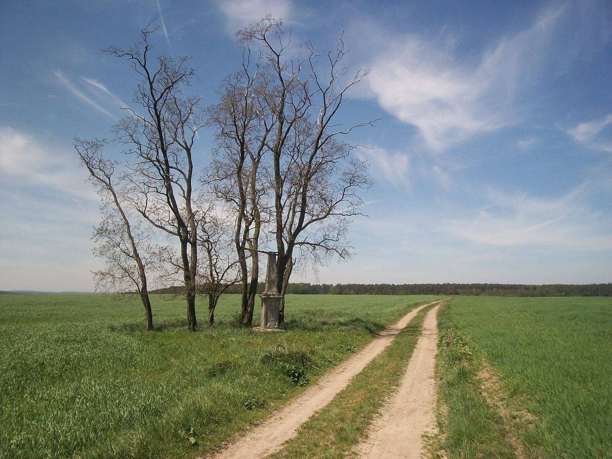 Fotografie objektu