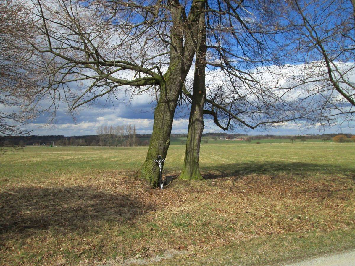Fotografie objektu