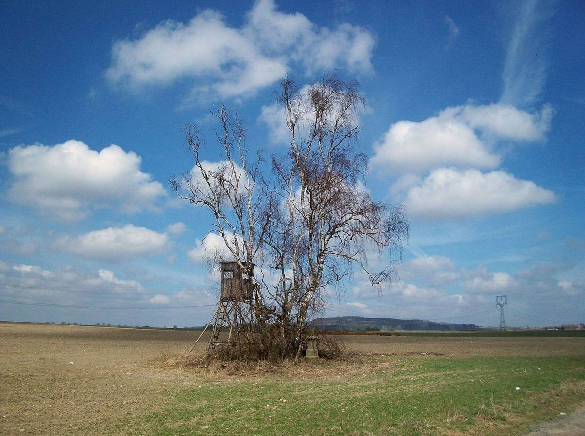 Fotografie objektu