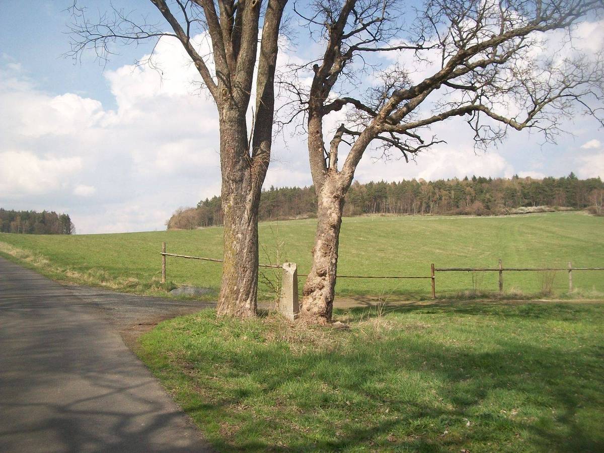 Fotografie objektu