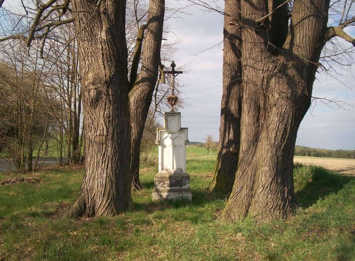 Fotografie objektu