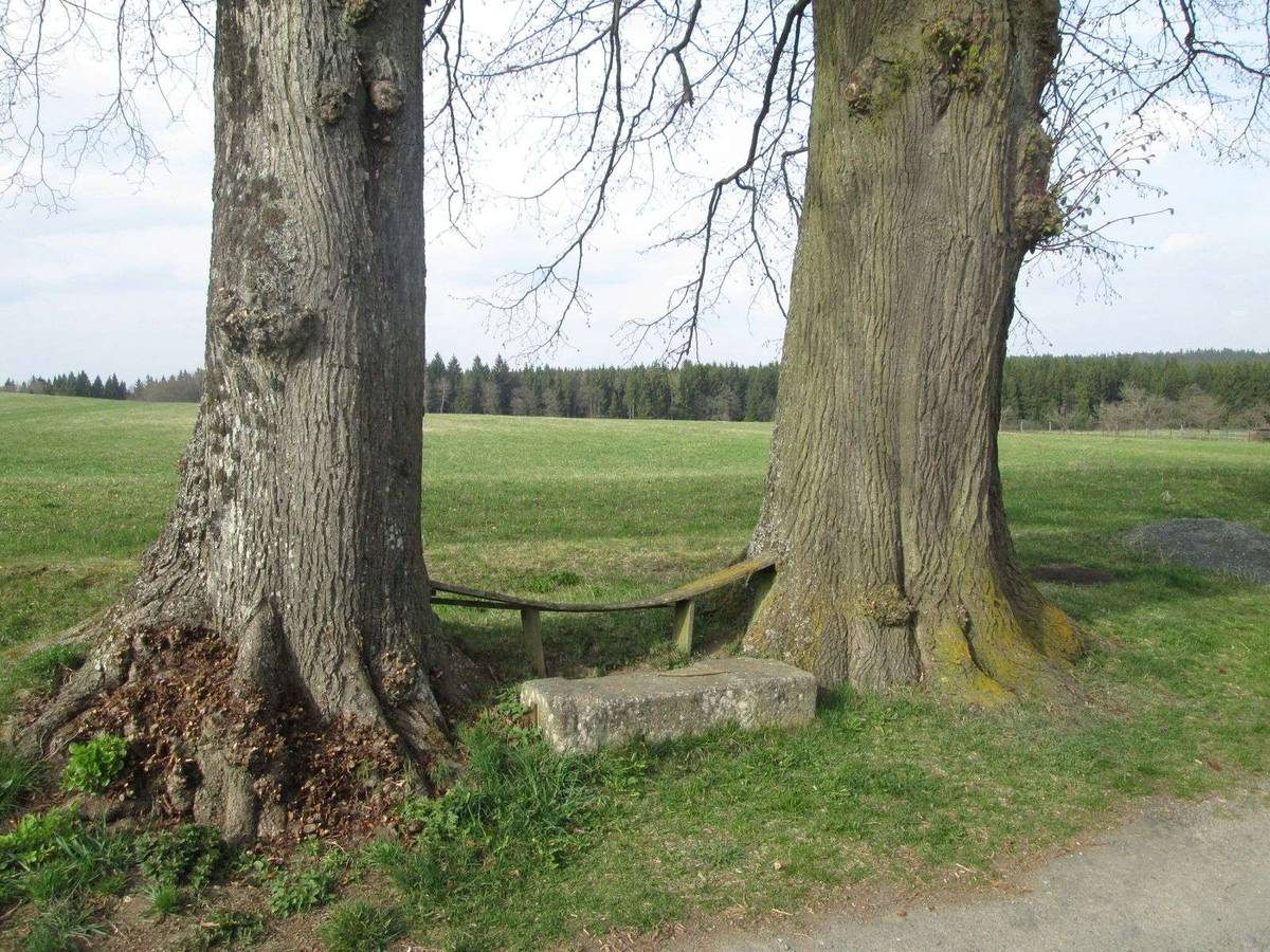 Fotografie objektu