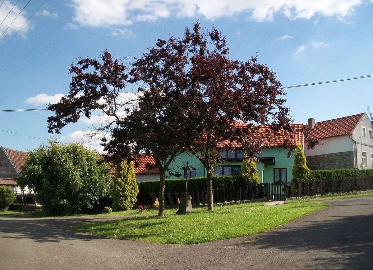 Fotografie objektu