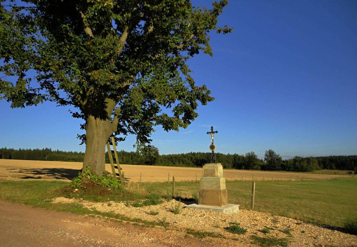 Fotografie objektu