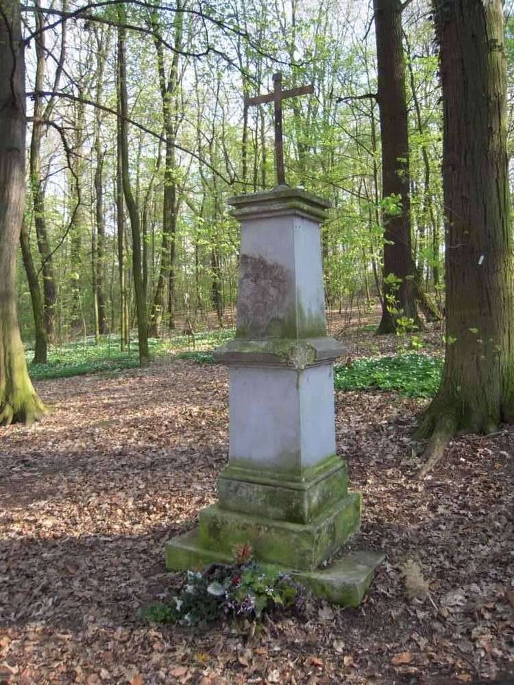 Fotografie objektu