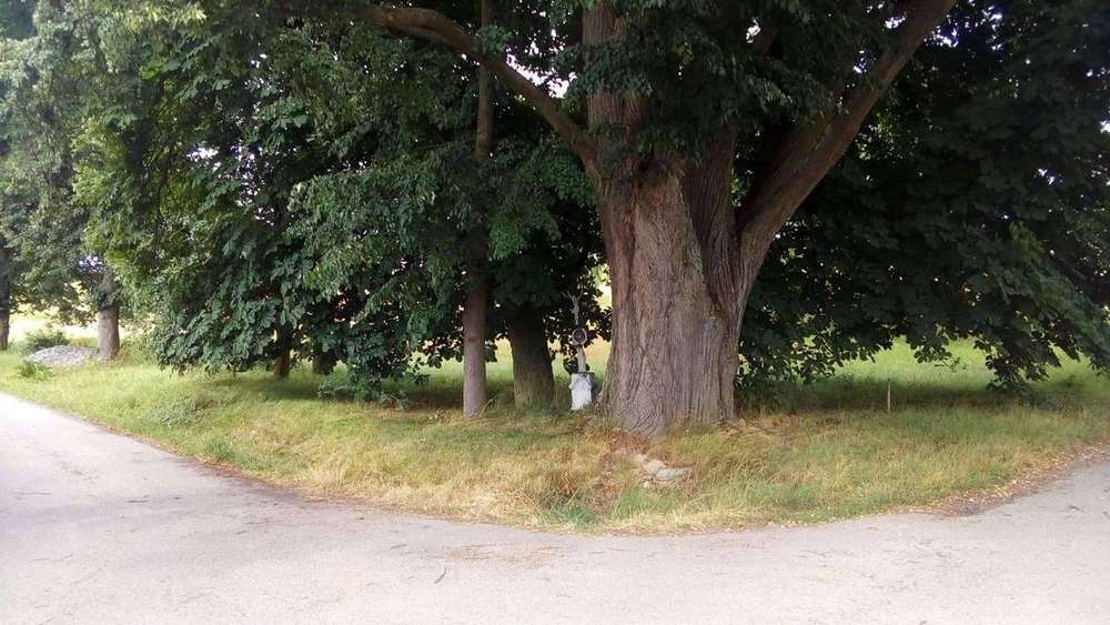 Fotografie objektu
