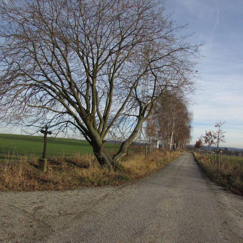 Fotografie objektu
