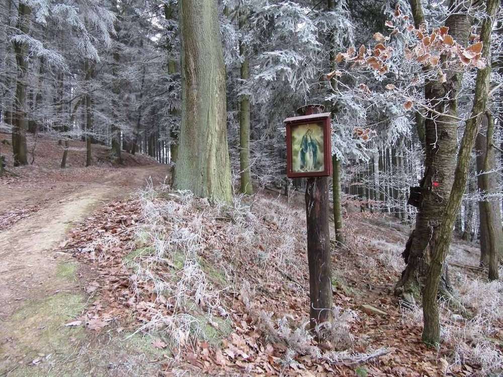 Fotografie objektu