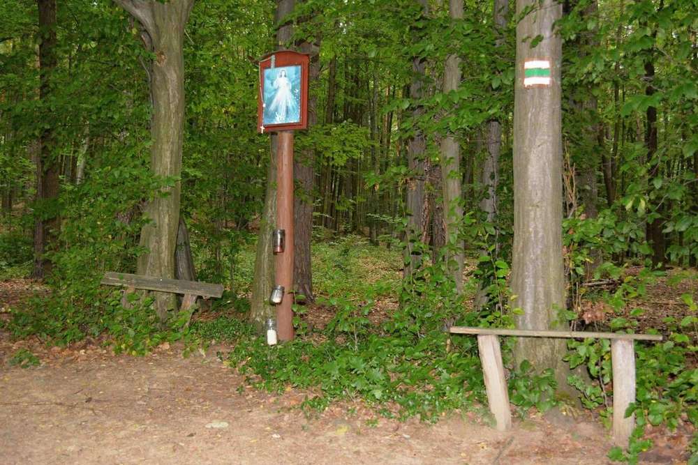 Fotografie objektu