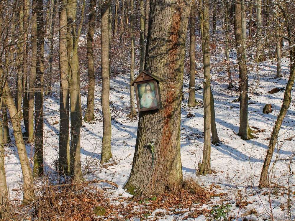 Fotografie objektu