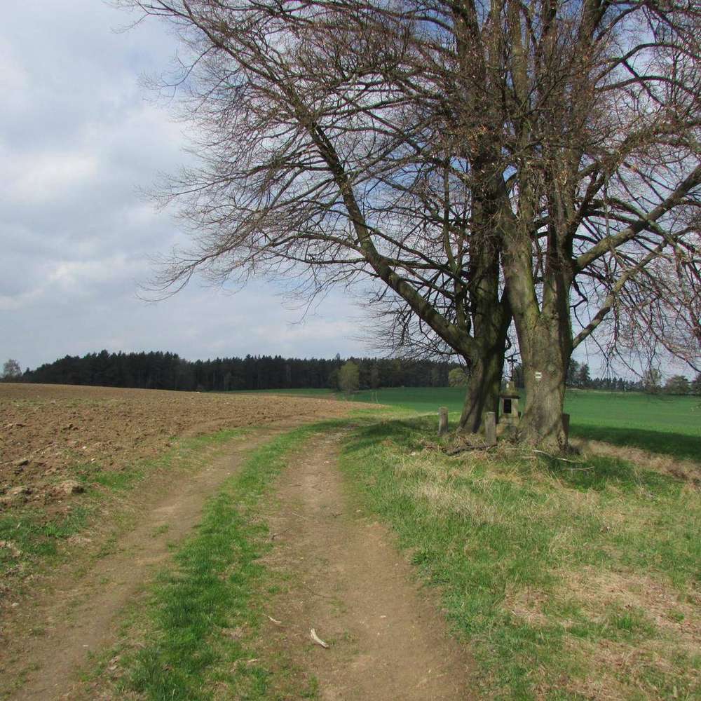 Fotografie objektu
