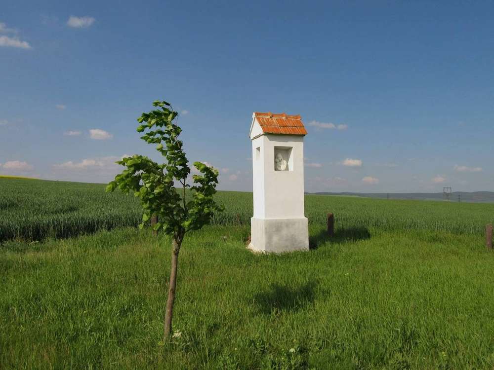 Fotografie objektu