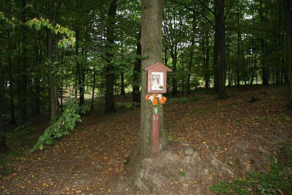 Fotografie objektu