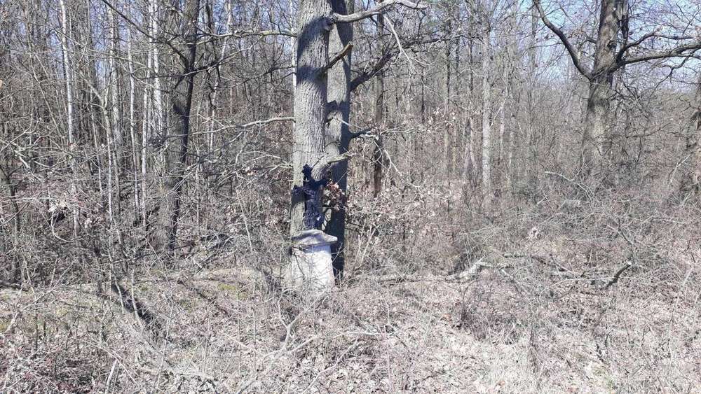 Fotografie objektu