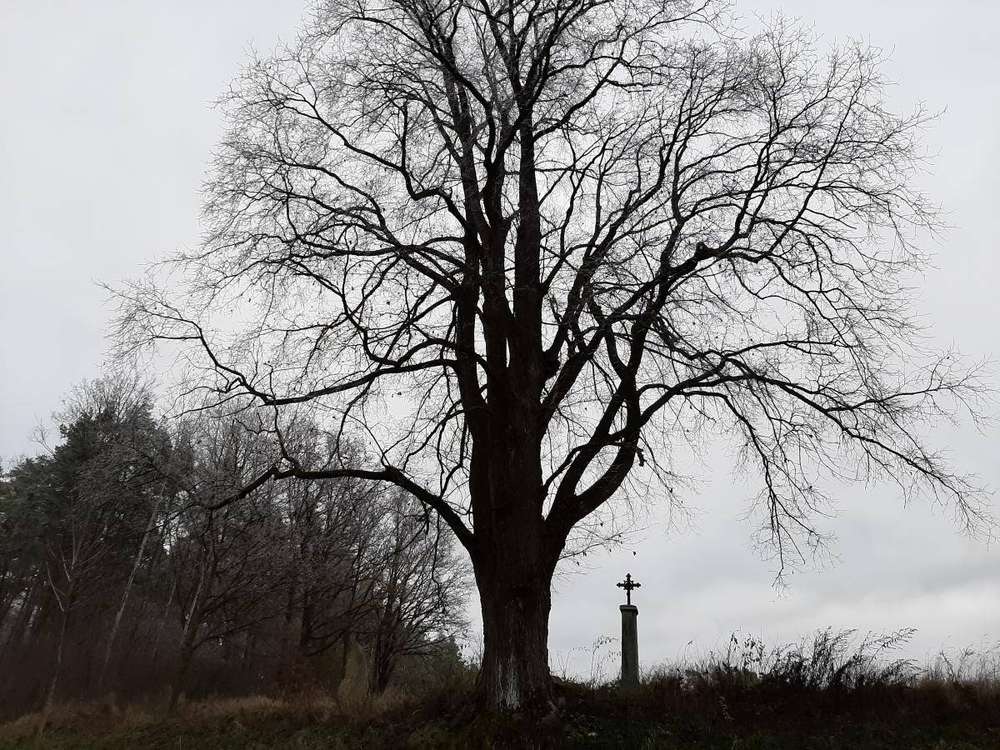 Fotografie objektu
