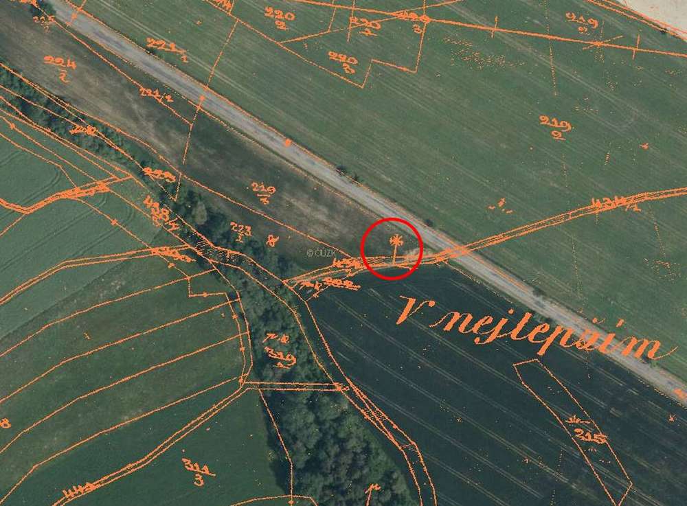 Fotografie objektu