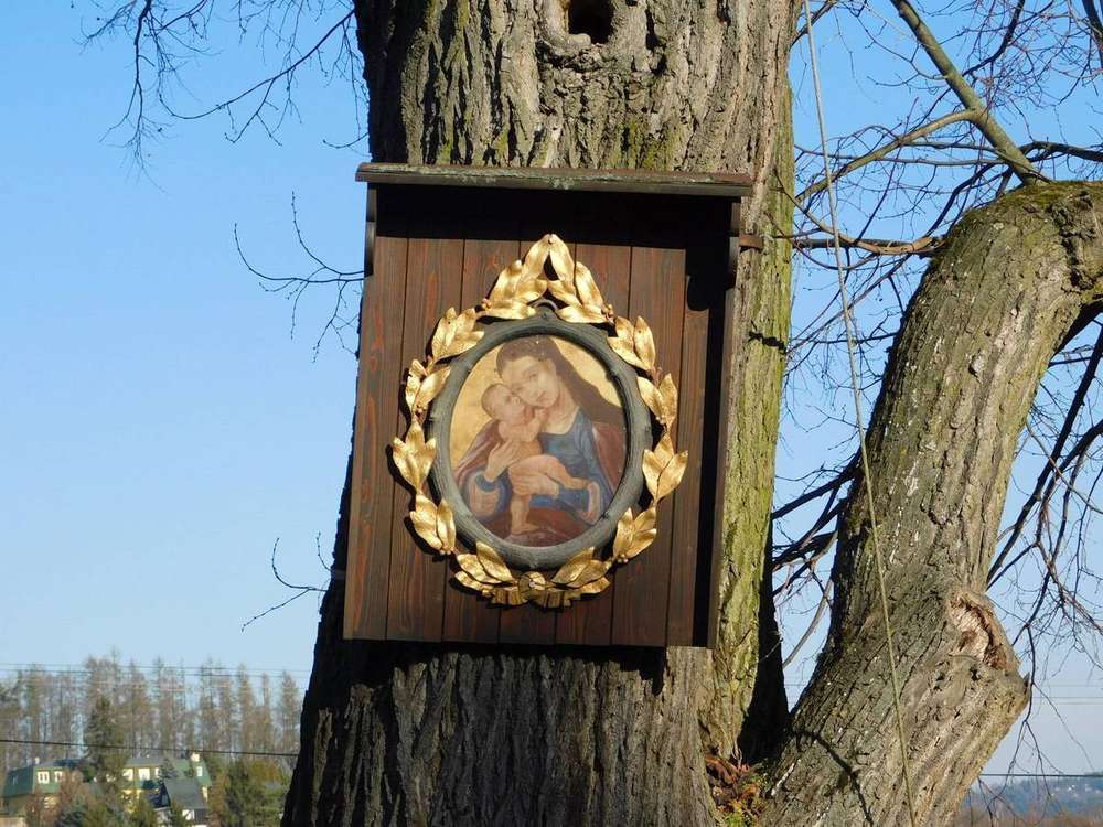 Fotografie objektu
