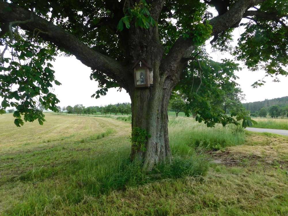 Fotografie objektu