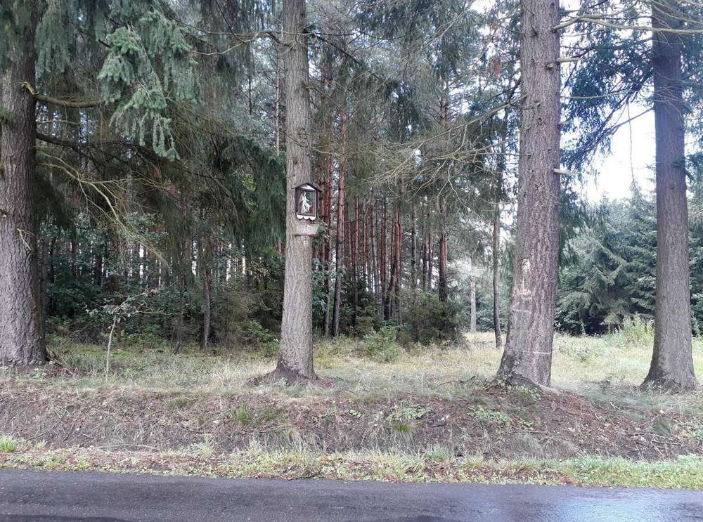 Fotografie objektu
