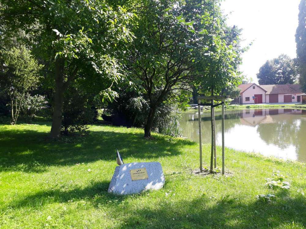Fotografie objektu