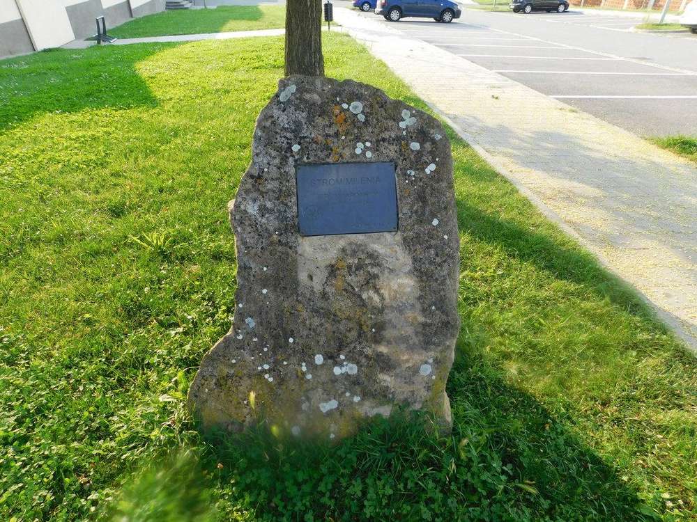 Fotografie objektu