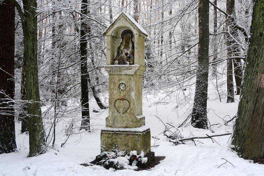 Fotografie objektu