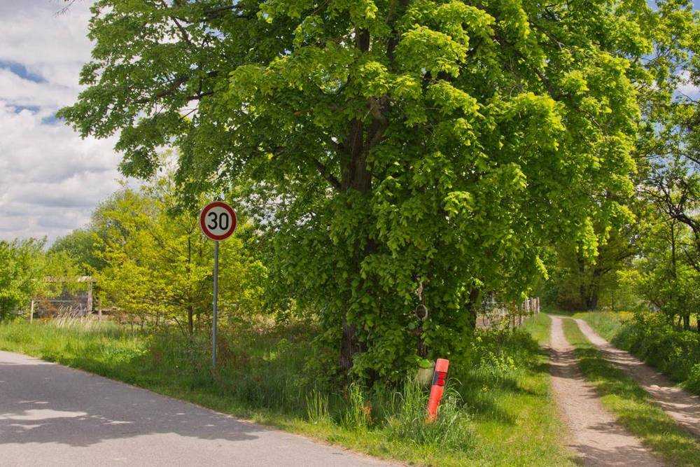 Fotografie objektu