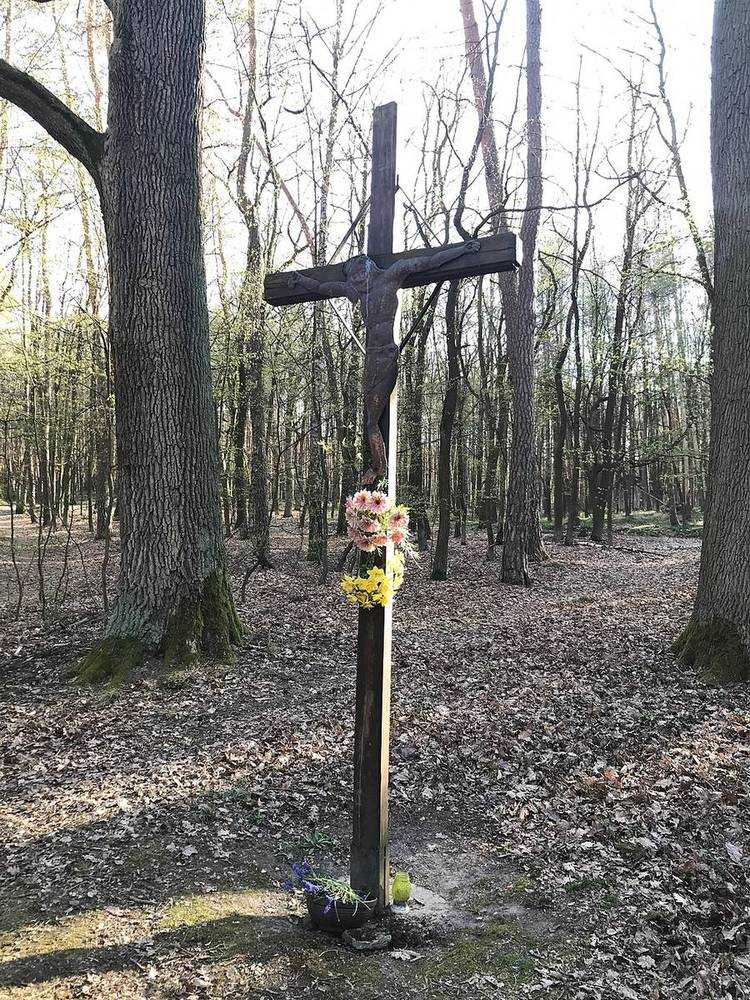Fotografie objektu