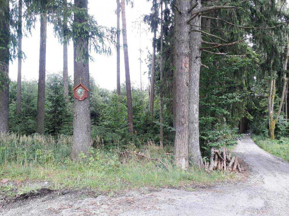 Fotografie objektu