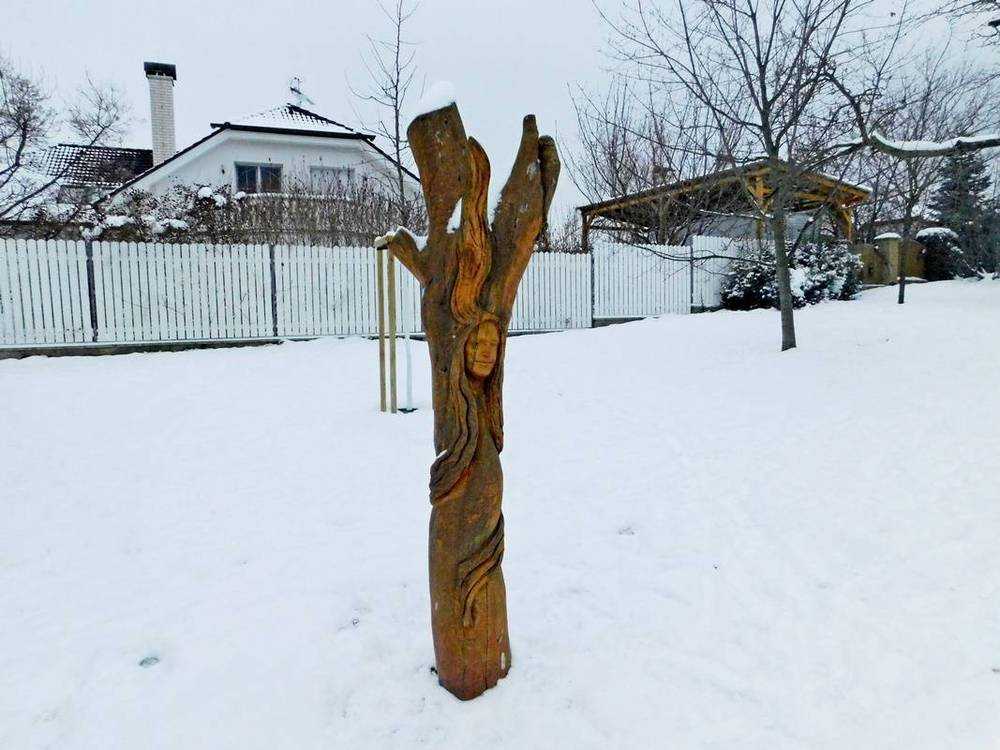 Fotografie objektu