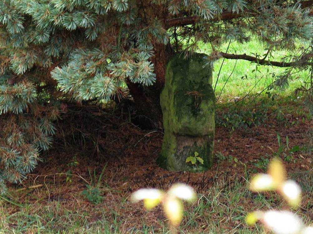 Fotografie objektu