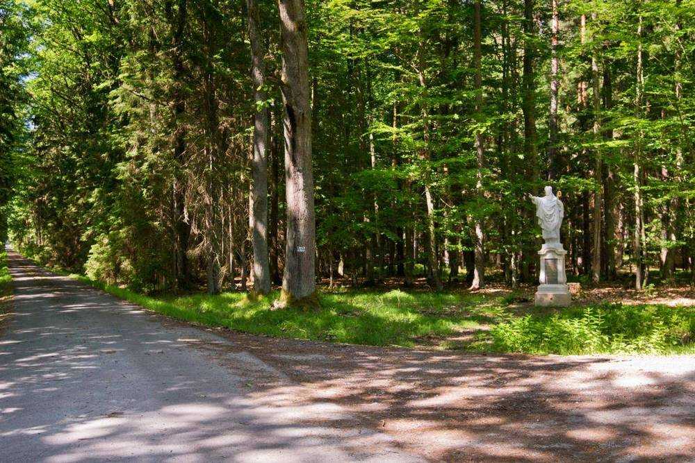 Fotografie objektu