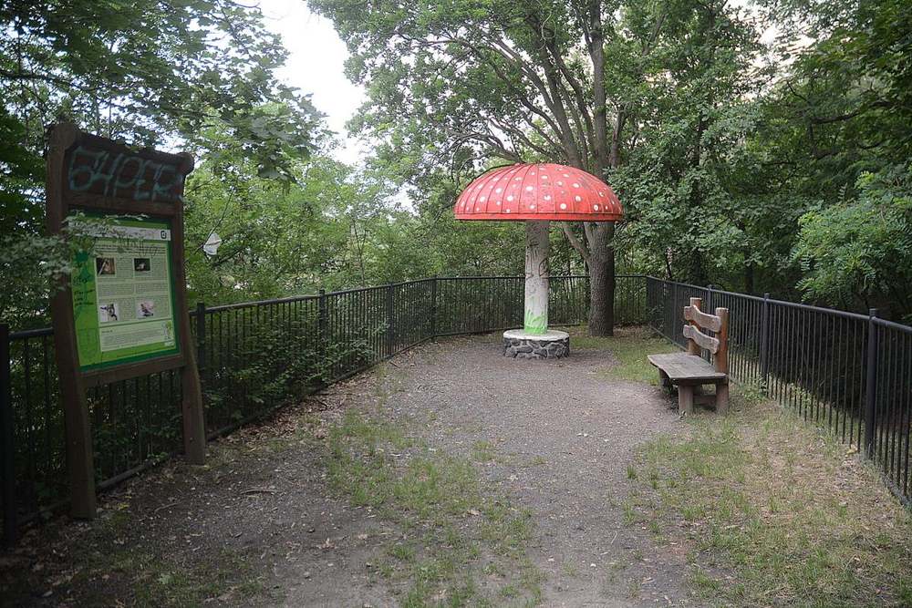 Fotografie objektu
