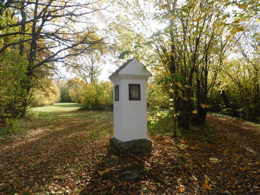 Fotografie objektu