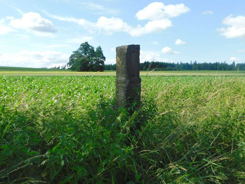 Fotografie objektu