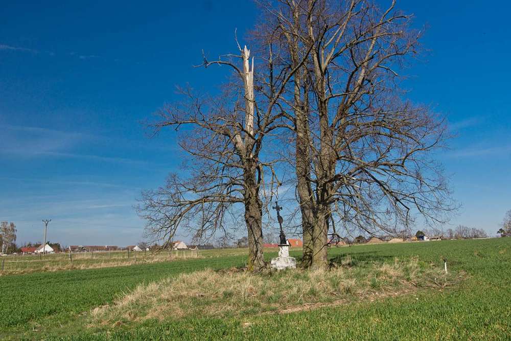 Fotografie objektu
