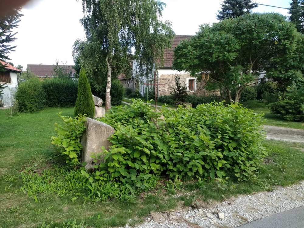 Fotografie objektu