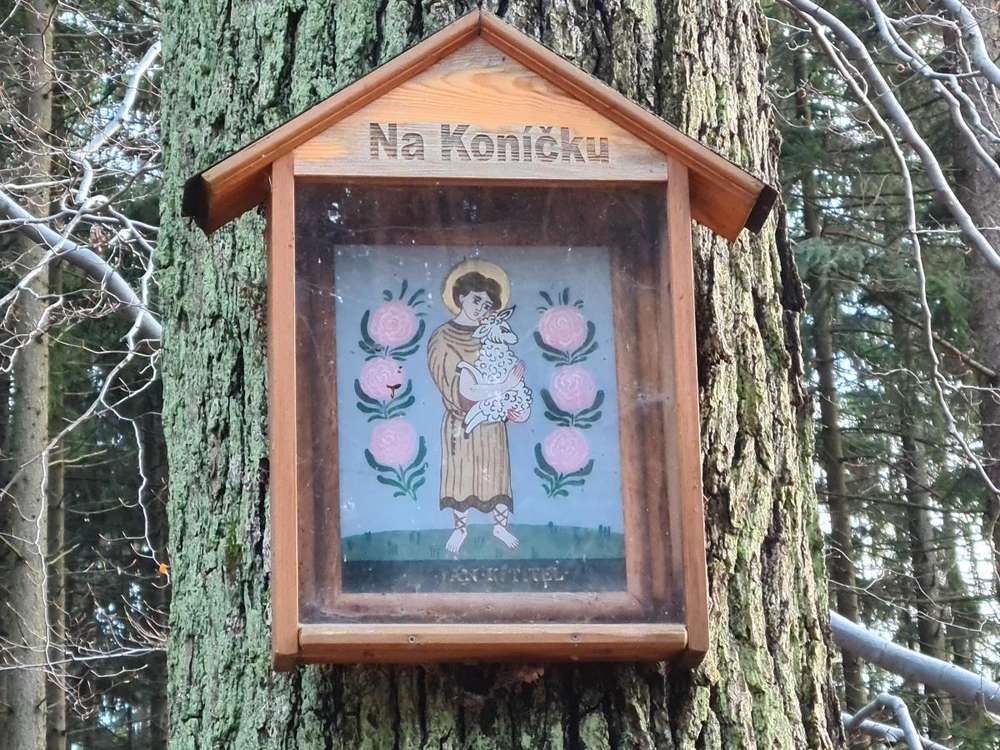 Fotografie objektu