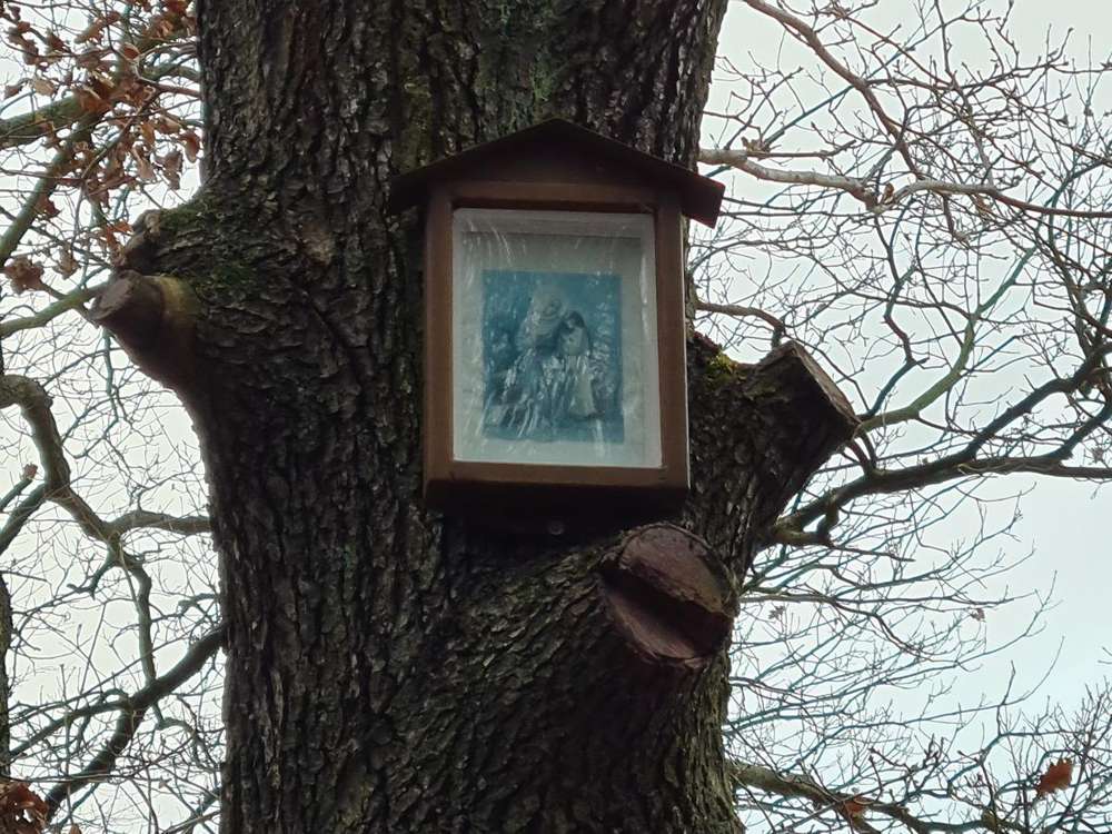 Fotografie objektu