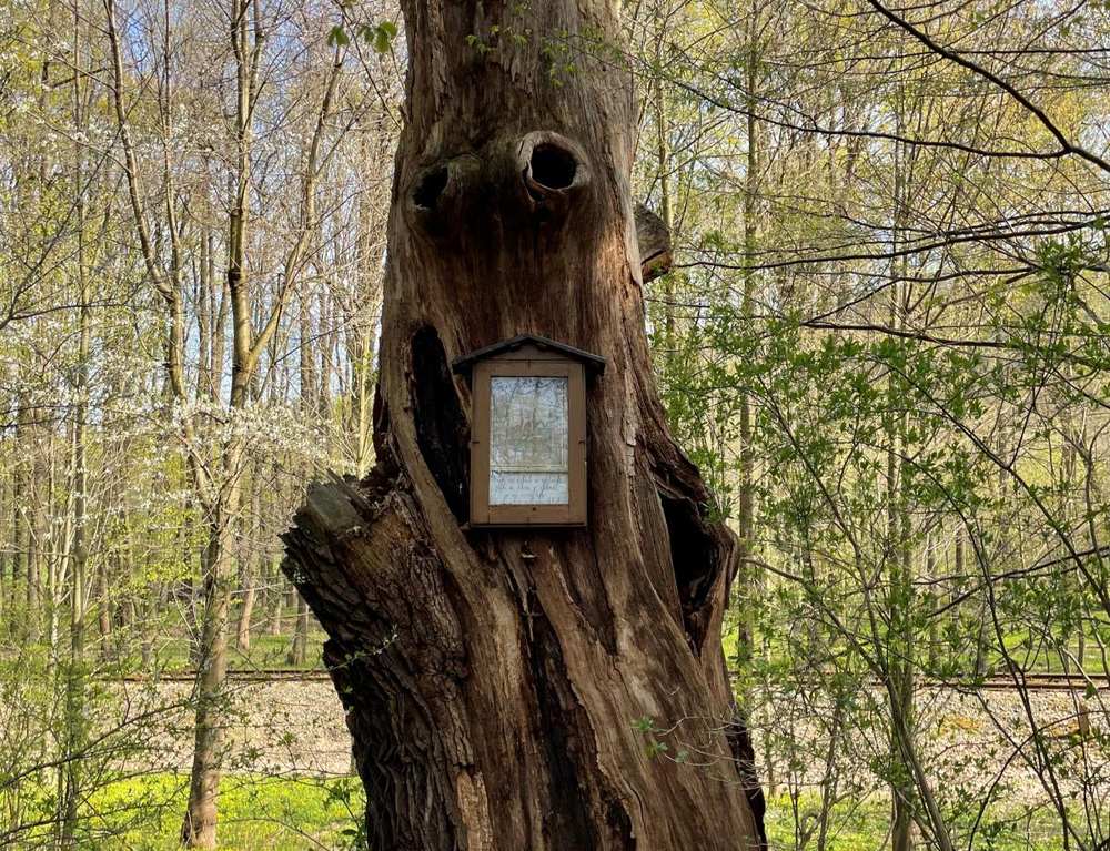 Fotografie objektu