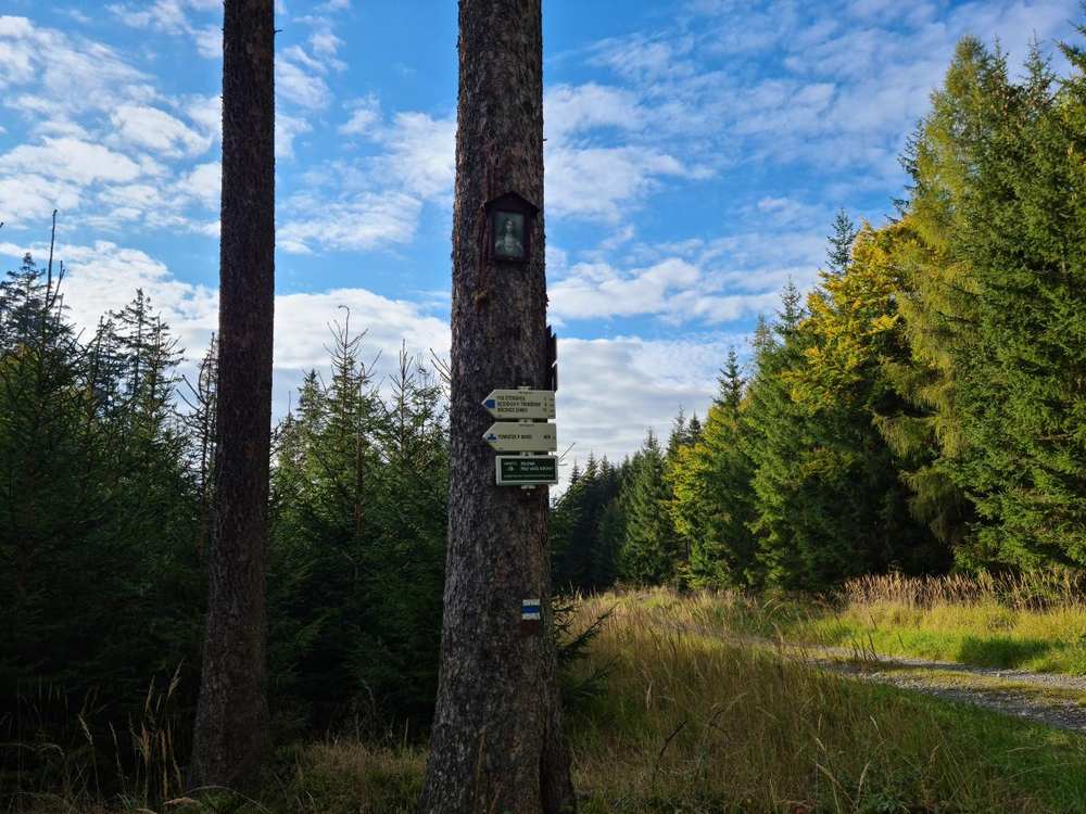 Fotografie objektu