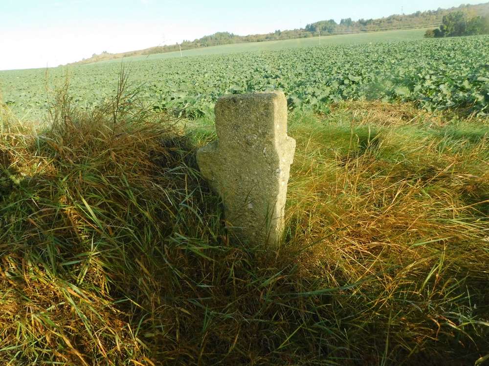 Fotografie objektu