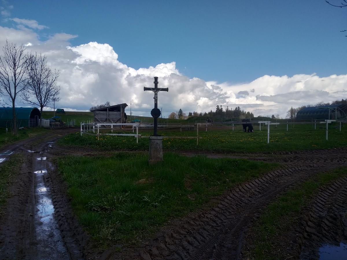 Fotografie objektu