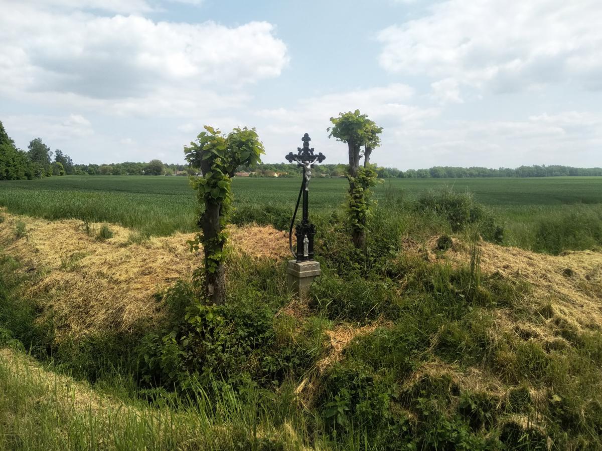 Fotografie objektu
