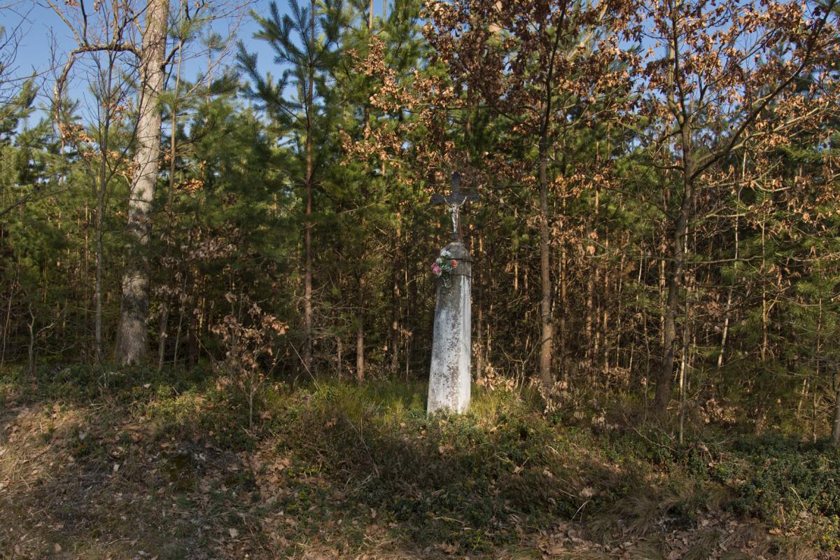 Fotografie objektu