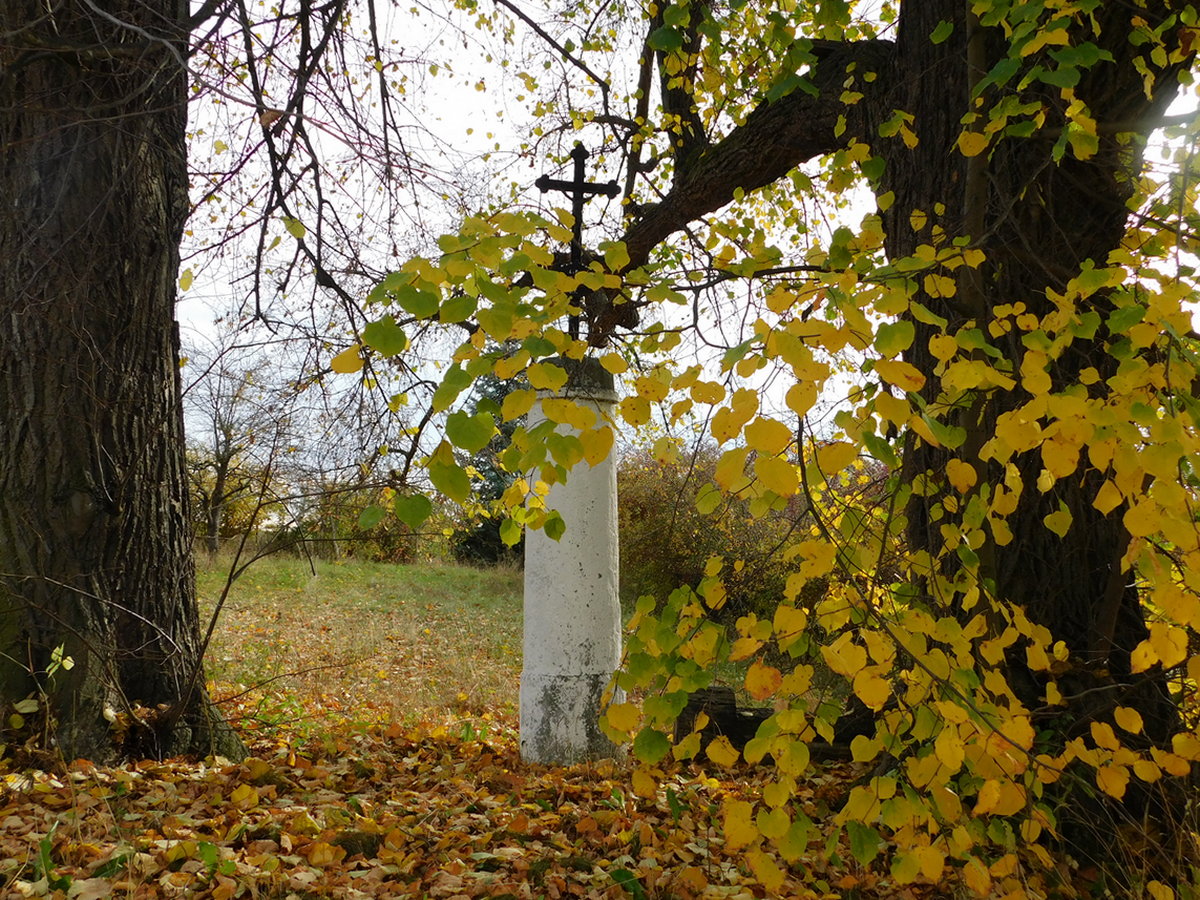 Fotografie objektu