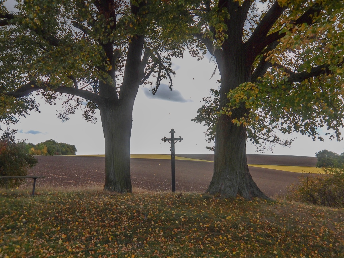 Fotografie objektu