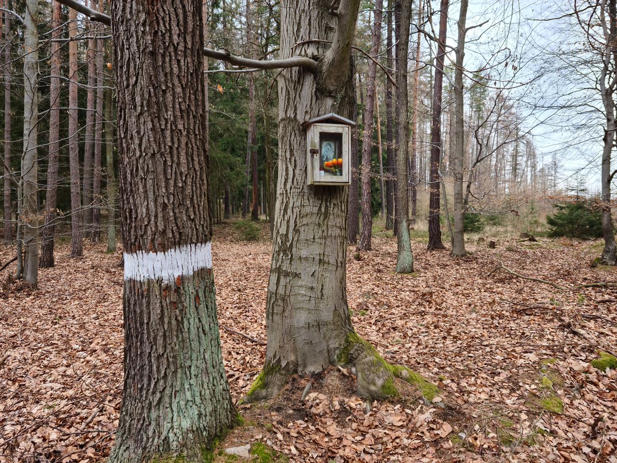 Fotografie objektu